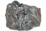 Metallic, Needle-Like Pyrolusite Crystals - Morocco #220655-2